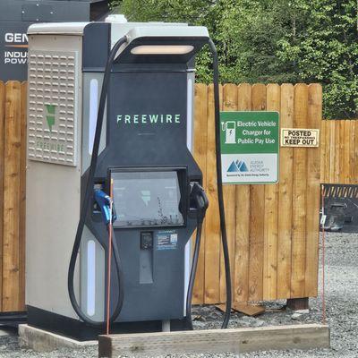 Electric vehicle charger and standard gas station