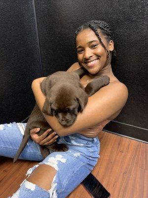 Petland Orlando East