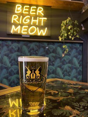 The Golden Cat Beer Venue