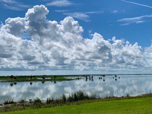 Stick Marsh is beautiful today