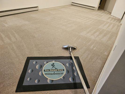 Carpet cleaning basement