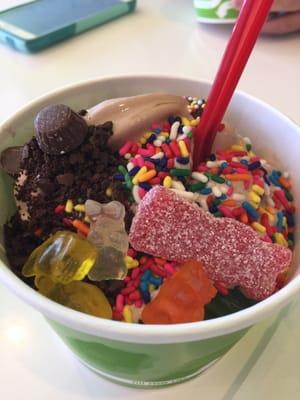 Strawberry, raspberry and chocolate yogurt. Peanut butter cups, gummies, sprinkles and cookie crumbs... Yum!