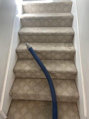 Apex Carpet Care