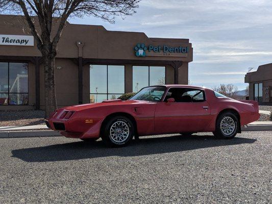 My Firebird in front of Pet Dental USA