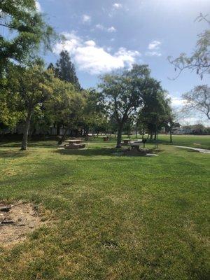 Tables and pathways to walk around. Nice open grass areas.