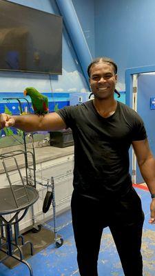 Holding the parrot