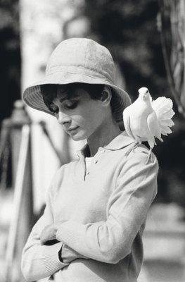 Terry O'Neill, "Hepburn with Dove", photograph.