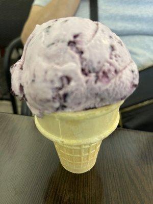 Scoop of Huckleberry