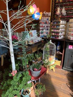 The entrance of our salon (flowers and plants grown by our manager Esther)!