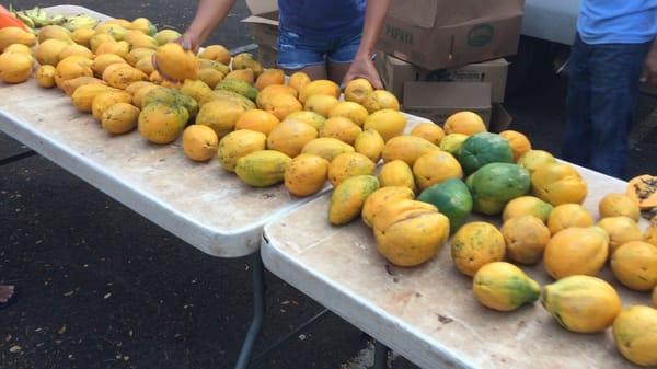 So many papayas!