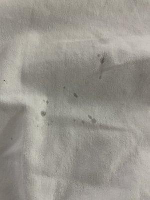 More bedbug feces on sheets! GROSS!