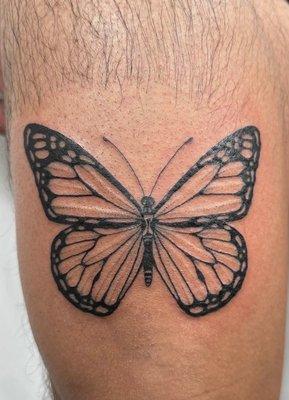 Monarch butterfly with an hourglass in the body