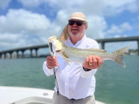 Spotted Drum (sea trout)