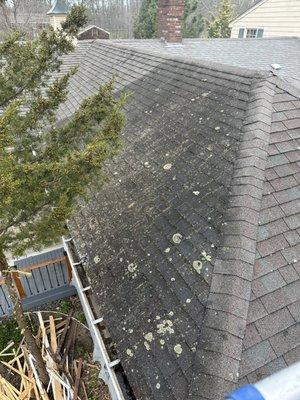 Roof cleaning, before