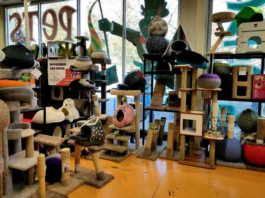 Best selection of cat beds and cat trees.