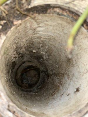 T between house and septic tank.  Has come to top when tank is full - it only has a little water at the bottom