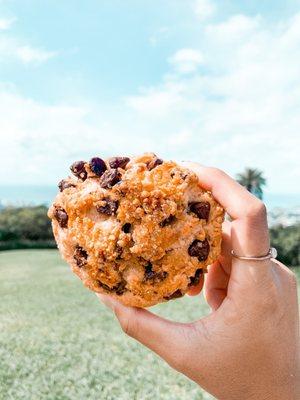 Chocolate Mac Nut Scone