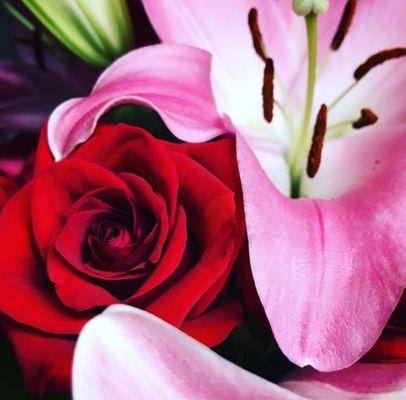 Photos of the flowers I got my girlfriend over a week ago! Lillies are still blooming and the roses are still bright red!