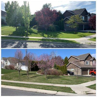 Spring and fall lawn services