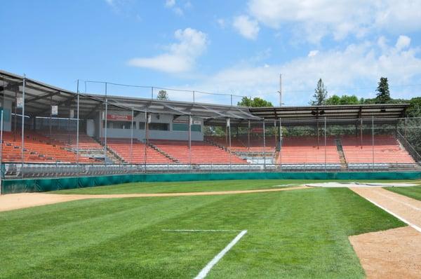 Rochester Honkers Baseball