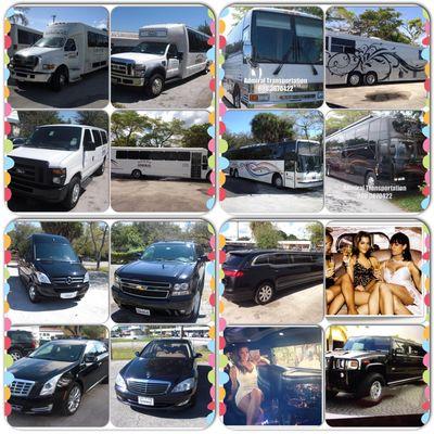 Admiral Limousine and Transportation Service