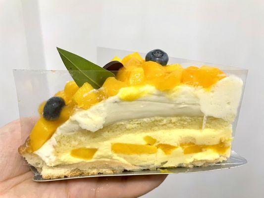 Coconut Mango Cake Tart Slice