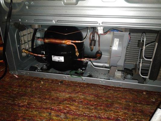 Samsung fridge repair | not cooling, compressor replaced | Denver