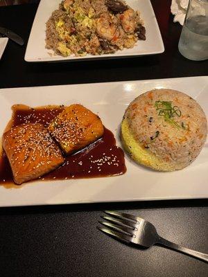 Teriyaki Salmon