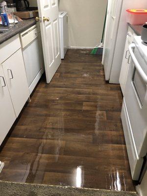 Flooded kitchen