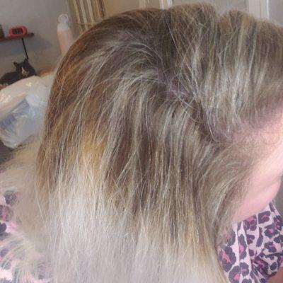 Here is the top portion of my head where "she highlighted" my hair notices the wonderful orange band and splotches....