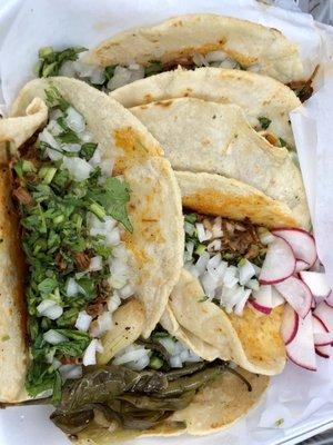 Tacos barbacoa