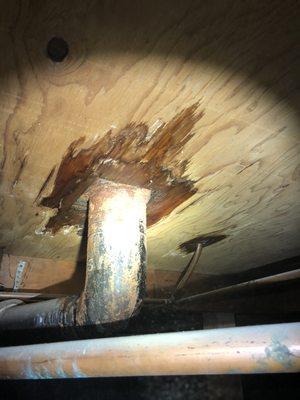 This is a leaking toilet as seen from the crawlspace. Most clients are unaware of the damage that could occur. This one was caught early!