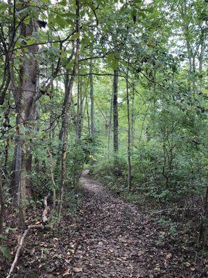 Gifford Pinchot State Park