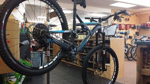 We carry the best bikes, Giant, Specialized and Trek!