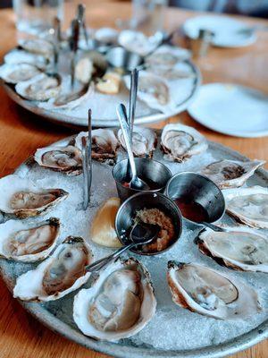 All Night Wed Special: Dozen East Coast Oysters for $16