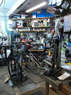 Mechanic at City Bicycles repairing my vintage Raleigh bike. Excellent service!