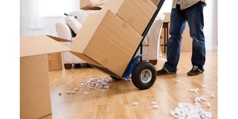 Professional Movers