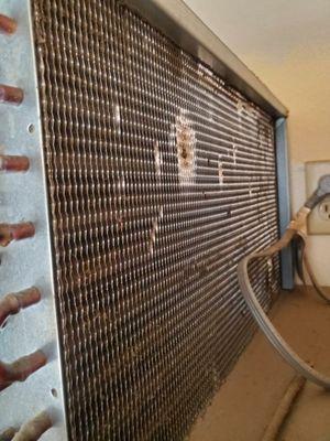 After we cleaned condenser