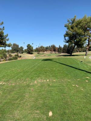 View from tee at Hole 8 the closest to the pin!