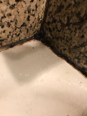 Bathtub mold