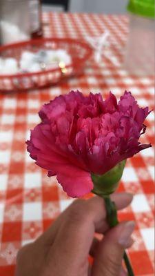 Gifted my daughter and I Carnation flowers, being that it was Mother's Day weekend. It was a very sweet gesture and it it made our day