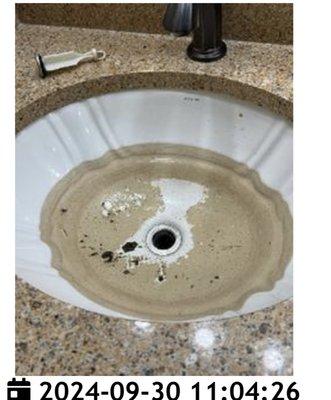 Sink filled with water and dirt, left for months.