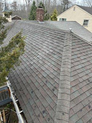 Roof cleaning, after