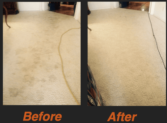 carpet cleaning before and after