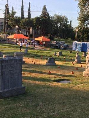 Setting up for Pumpkin Patch