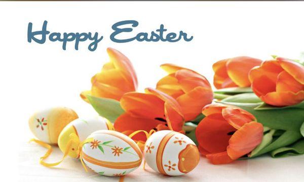 Happy Easter from Quality Breeze Team.