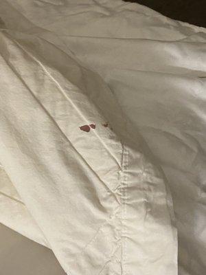 Blood on the blanket of a "clean" room.