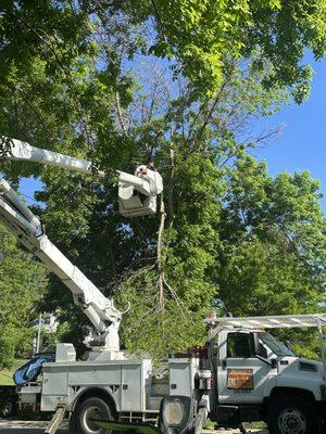 Kimball Tree Service