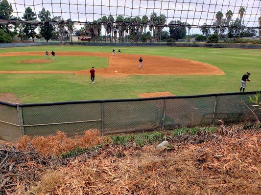 Fambam College Baseball