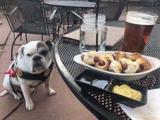 Ziggy enjoying the patio